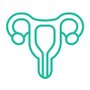 https://www.overkist.com/wp-content/uploads/2024/09/uterus-1.png