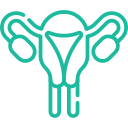 https://www.overkist.com/wp-content/uploads/2024/09/womb-1.png