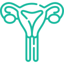 https://www.overkist.com/wp-content/uploads/2024/09/womb.png