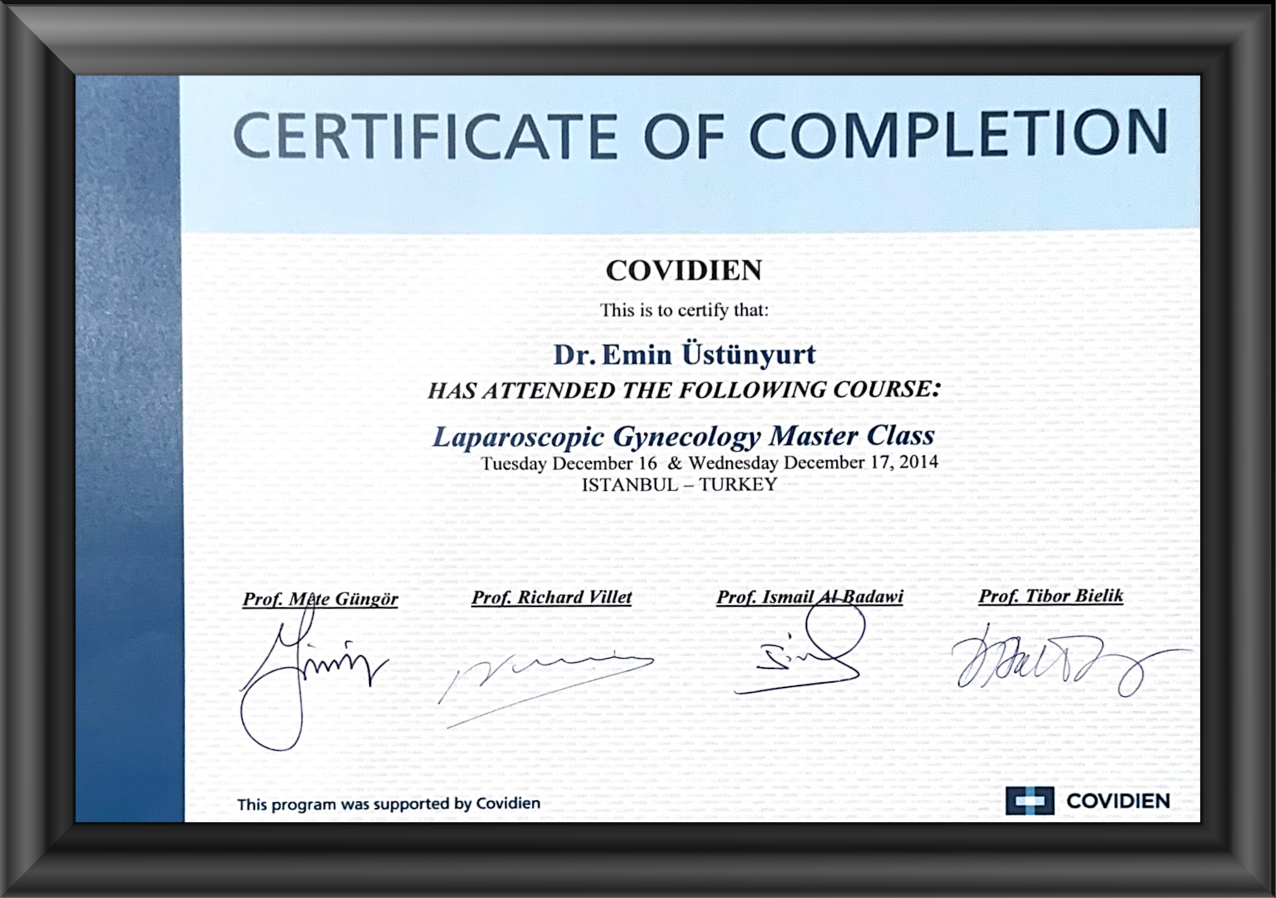 prof. dr. emin ustunyurt jinekolojik onkoloji bursa