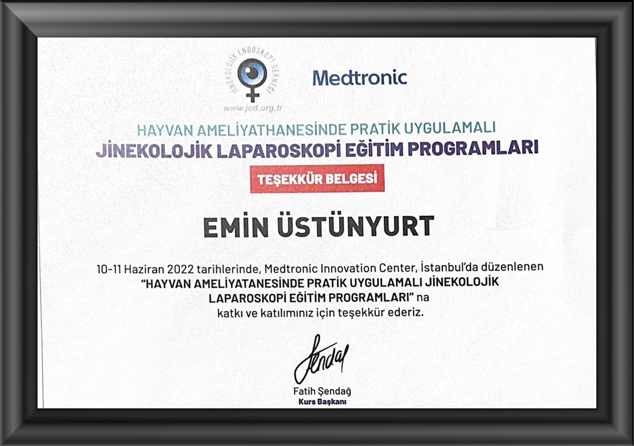 prof. dr. emin ustunyurt jinekolojik onkoloji bursa