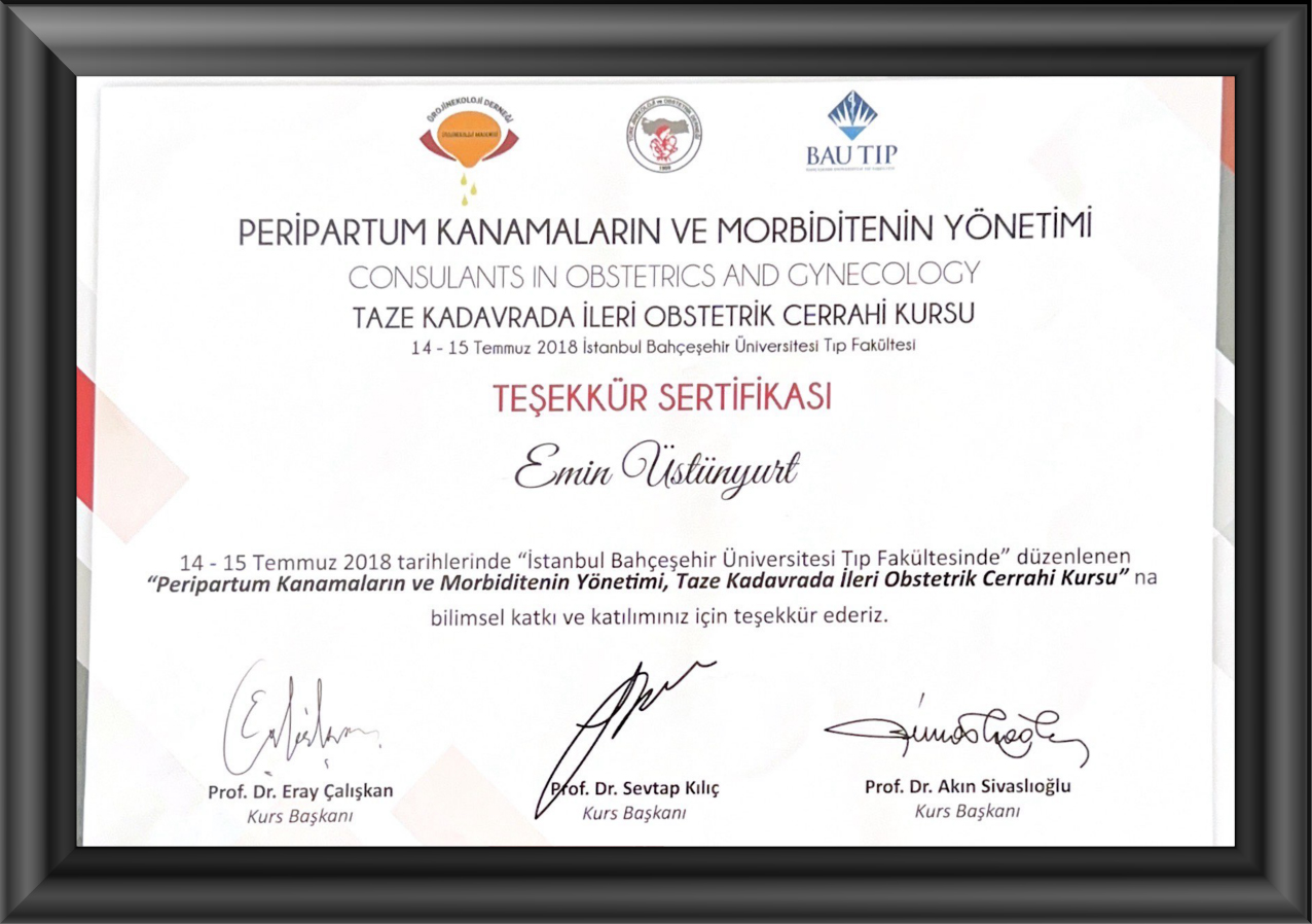 Sertifikalar+-03